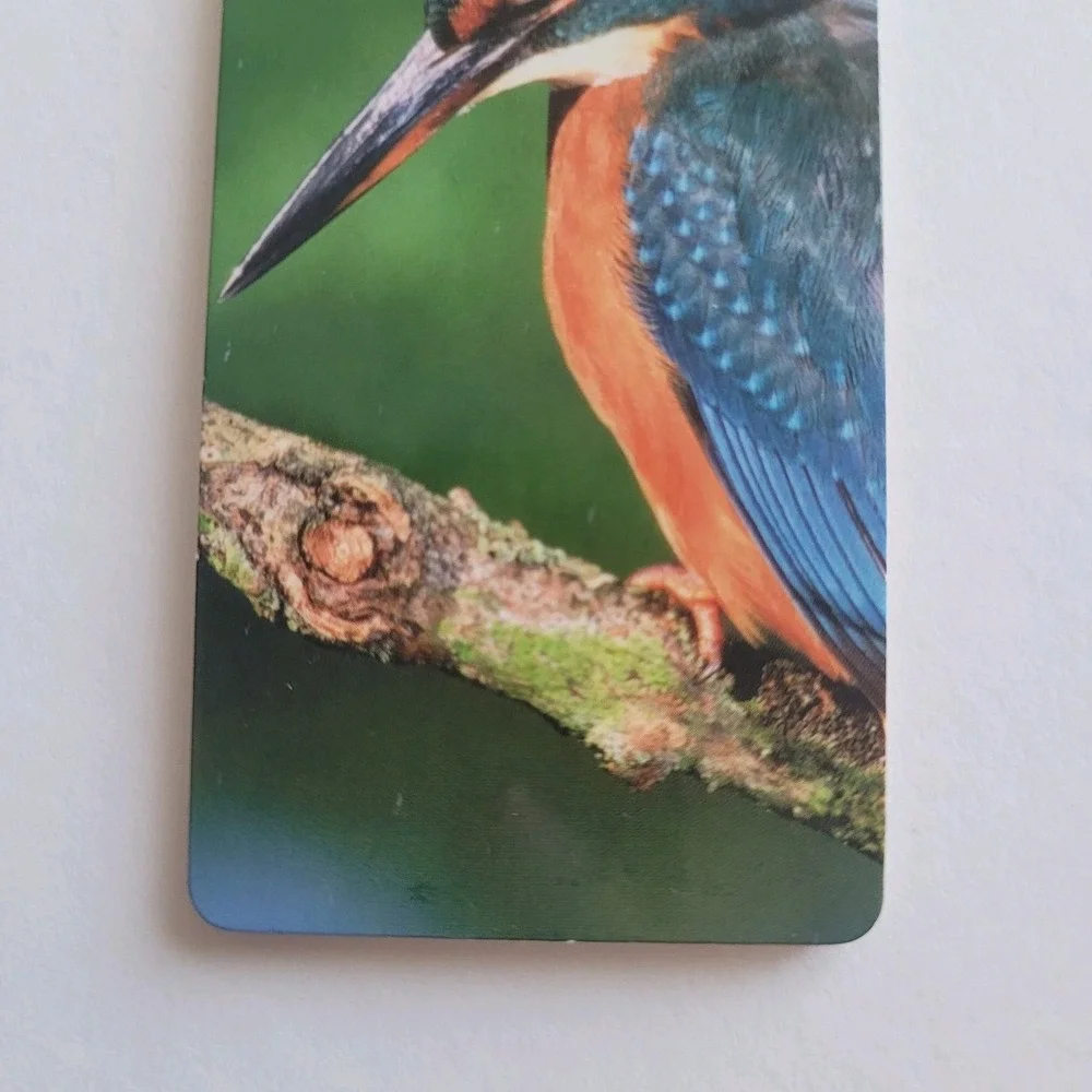 Cardmarks Kingfisher Bird Wild Nature Magnetic Magnet UK Company If 2402 Y2k 00s